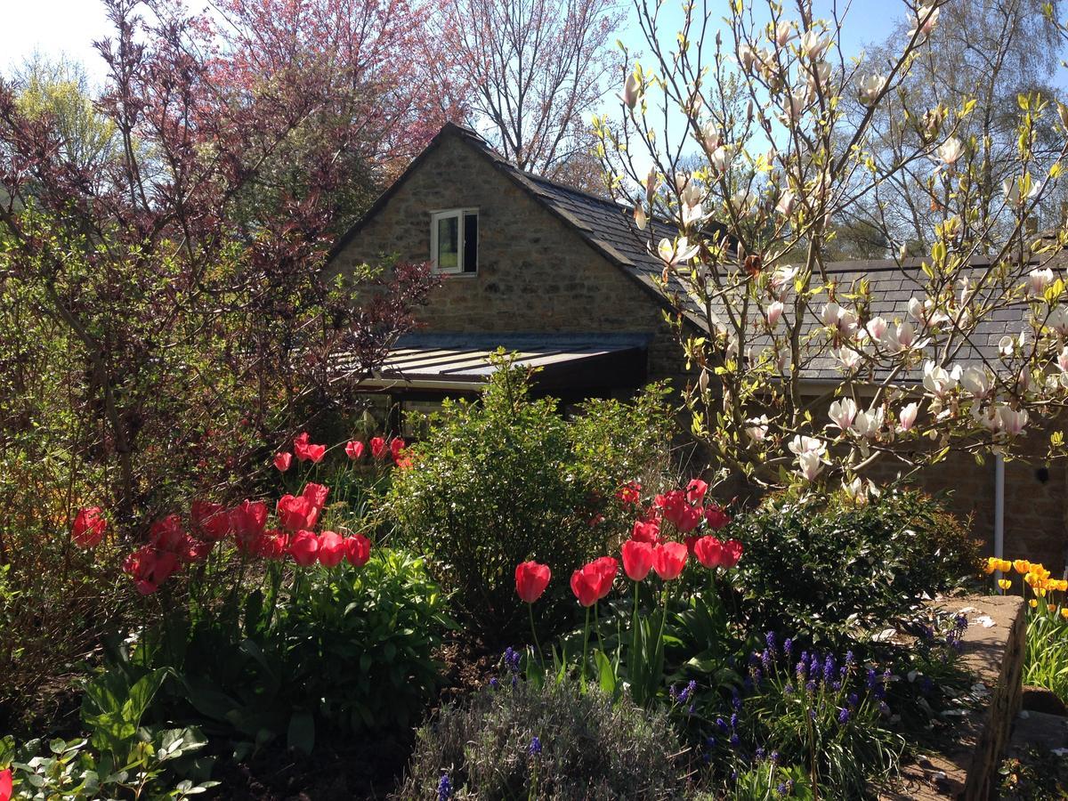 Bagnell Cottage Chiselborough Экстерьер фото