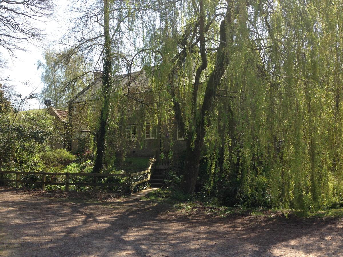 Bagnell Cottage Chiselborough Экстерьер фото