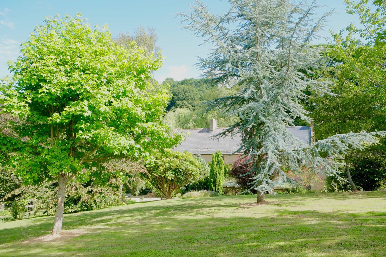 Bagnell Cottage Chiselborough Экстерьер фото