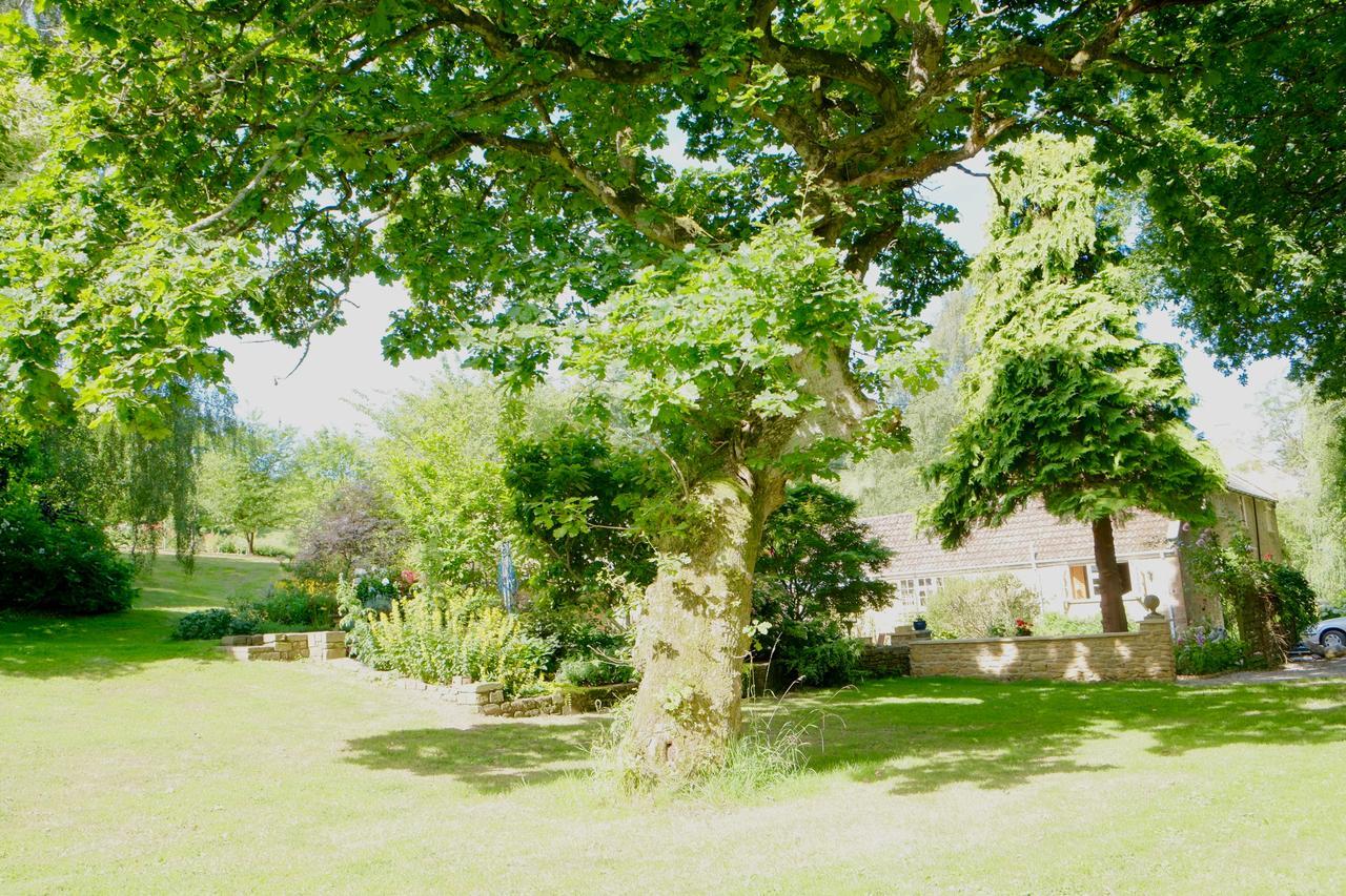 Bagnell Cottage Chiselborough Экстерьер фото
